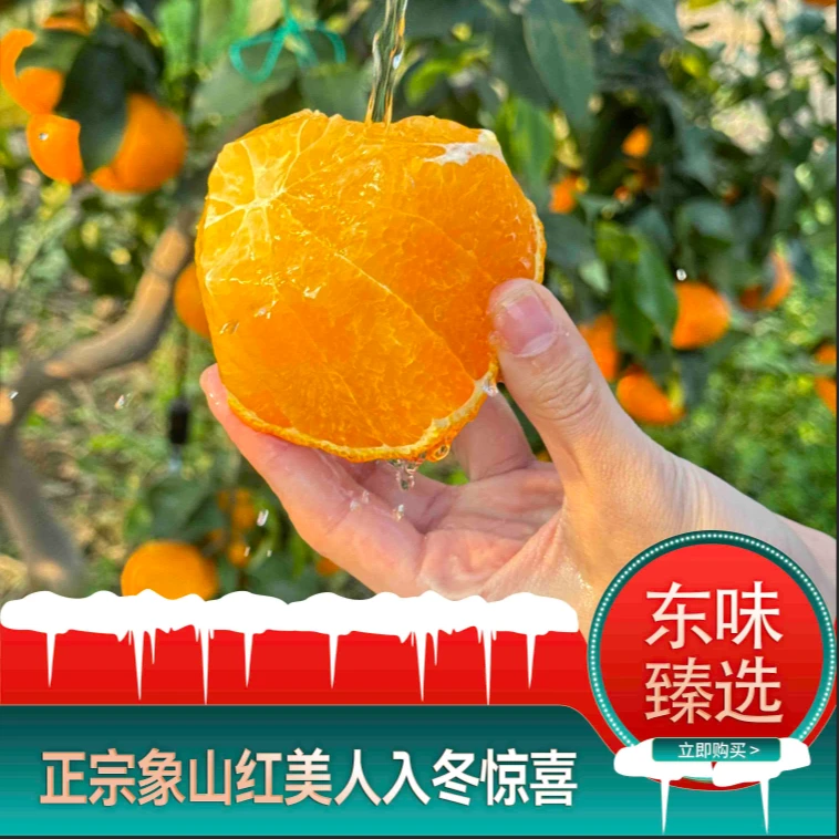 （小果尝鲜五斤装）正宗象山红美人无渣优质示范果园基地品质新鲜