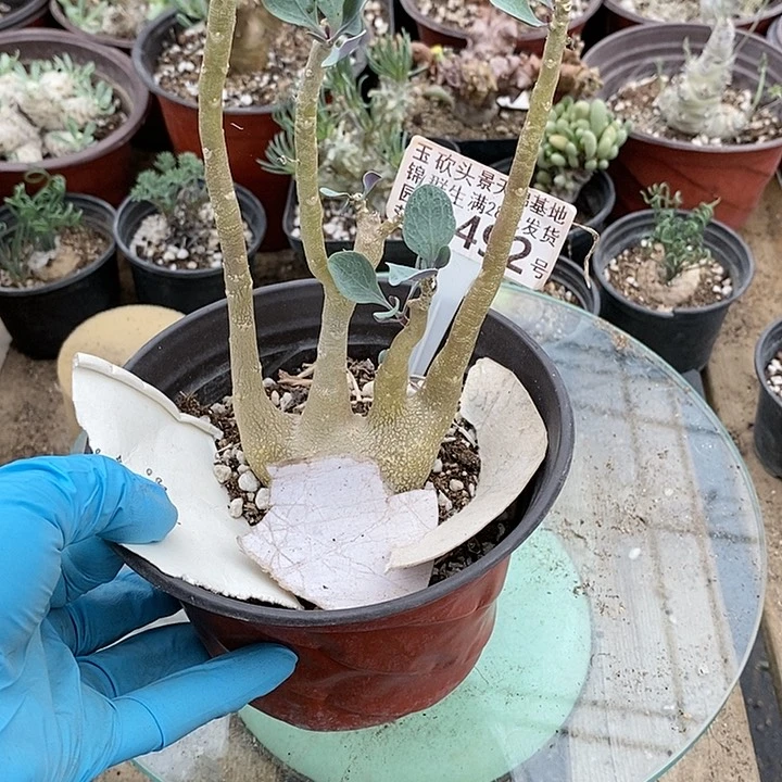 升*492一一一一一一一一一