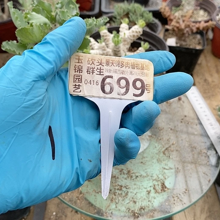 友**好699一一一一一一一一一