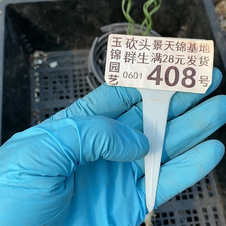 阿****）408一一一一一一一一一