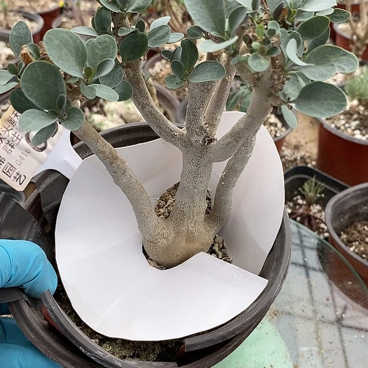 空*657一一一一一一一一一