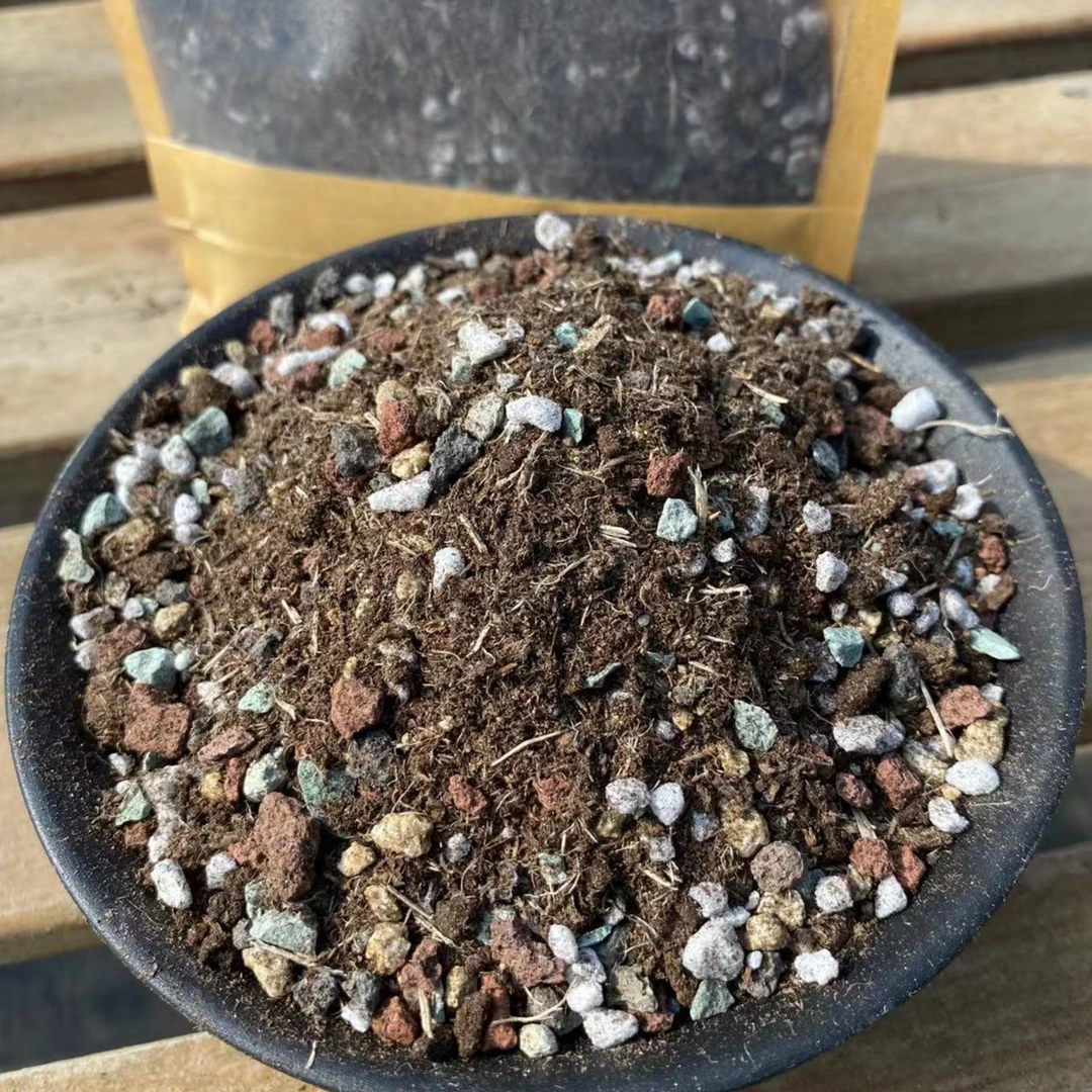 多肉植物营养土多肉专用土泥炭颗粒混合花卉绿植盆栽基地直播