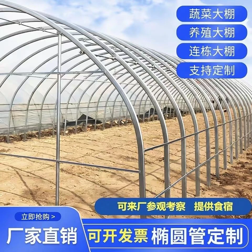 大棚拱棚骨架全套种植支架蔬菜养殖温室冷棚暖棚连体棚椭圆管钢架