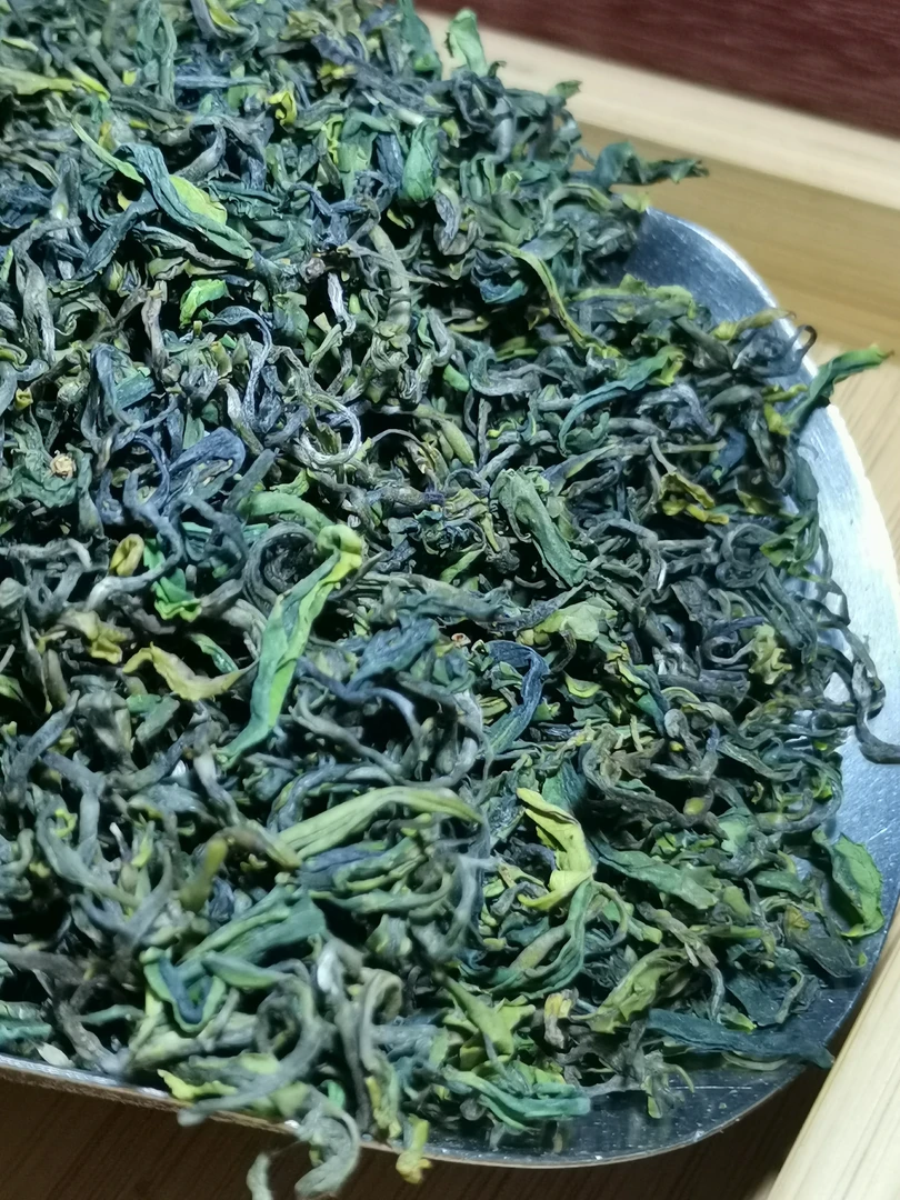 日照绿茶2025年春茶清香型豆香味绵柔鲜爽一斤500克