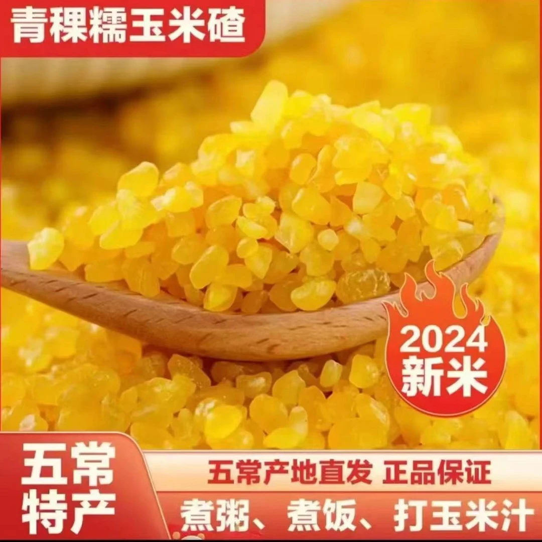 2024年五常青稞糯玉米碴黏玉米碴子粘玉米吊碴子黄金糯玉米碴