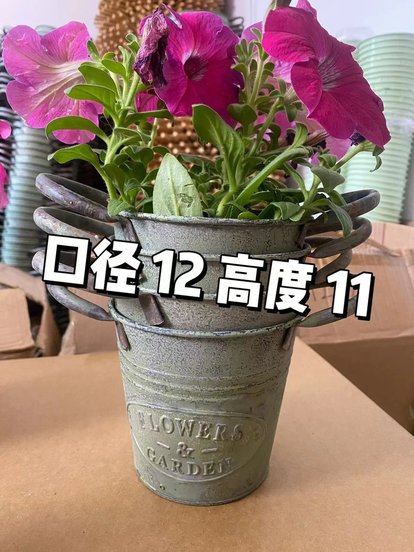 园艺金属麻绳小铁桶阳台彩色花盆花盆多肉