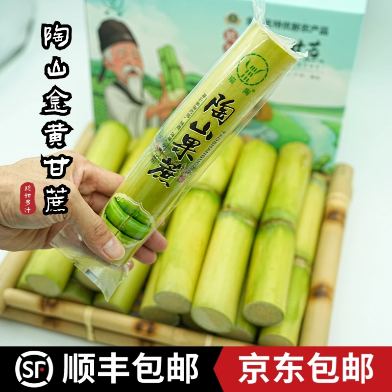 【真空一节陶山黄金甘蔗】精品陶山甘蔗青皮多汁5斤新鲜甘蔗青皮