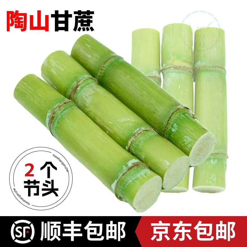 白玉甘蔗正宗陶山甘蔗青皮当季优质清甜水果松脆鲜甜产地顺丰京东