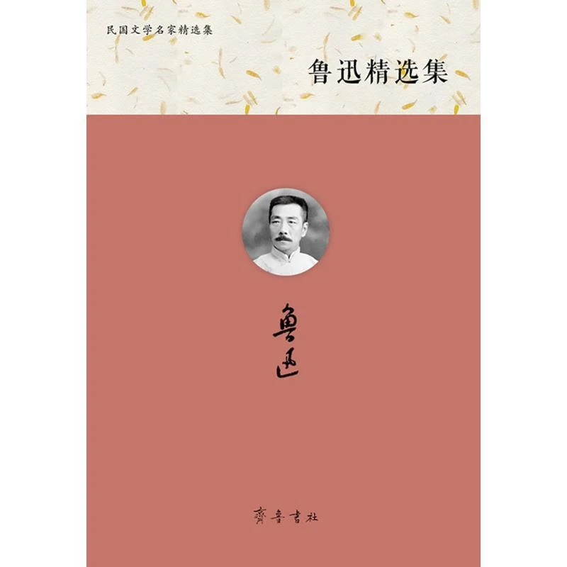民国文学名家精选集：鲁迅精选集