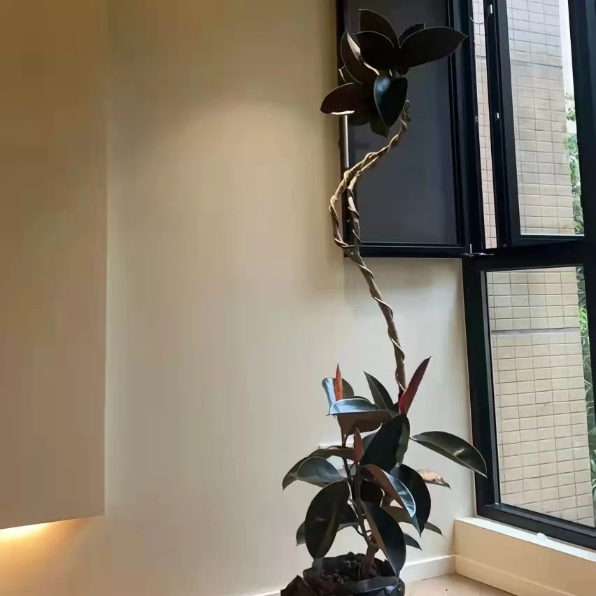 黑金刚室内懒人绿植易养活客厅办公轻奢风办公室书房客厅观叶植物