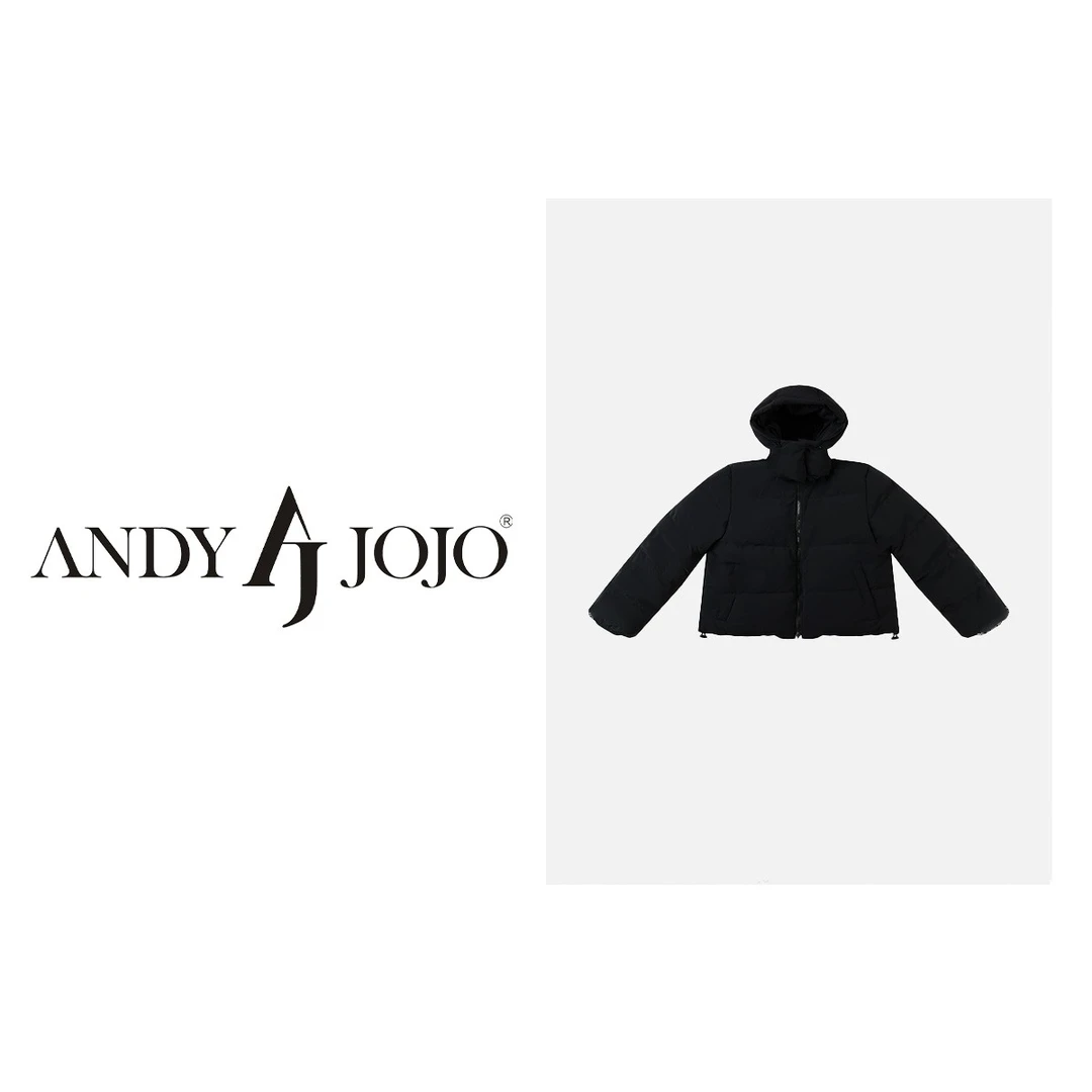 董先生&ANDY JOJO90鹅绒秋冬外套两面穿立领可拆帽羽绒服29987