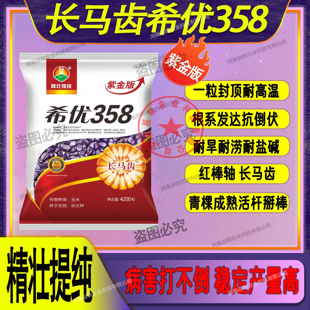 精壮提纯希优358（辰科赠品）长马齿红轴大棒抗病抗倒产量高3