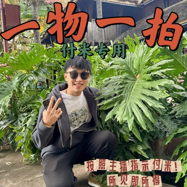 【一物一拍】听清序号！拍啥发啥 网红热植盆栽