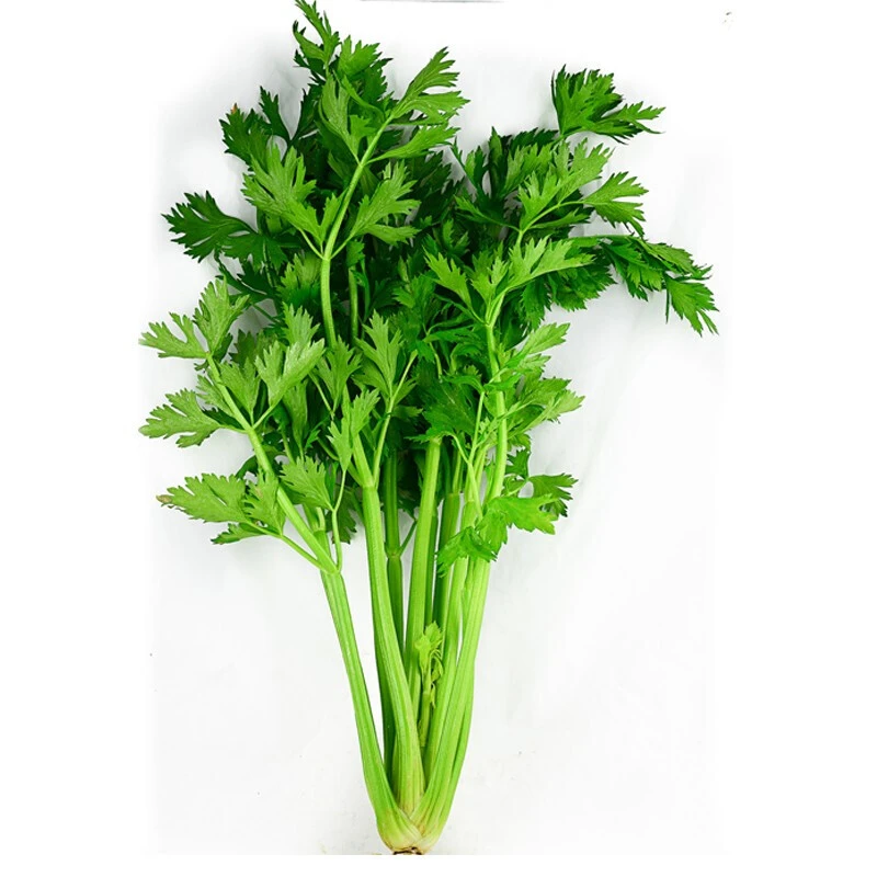 中缅农产品【综合链接】干货  下山货