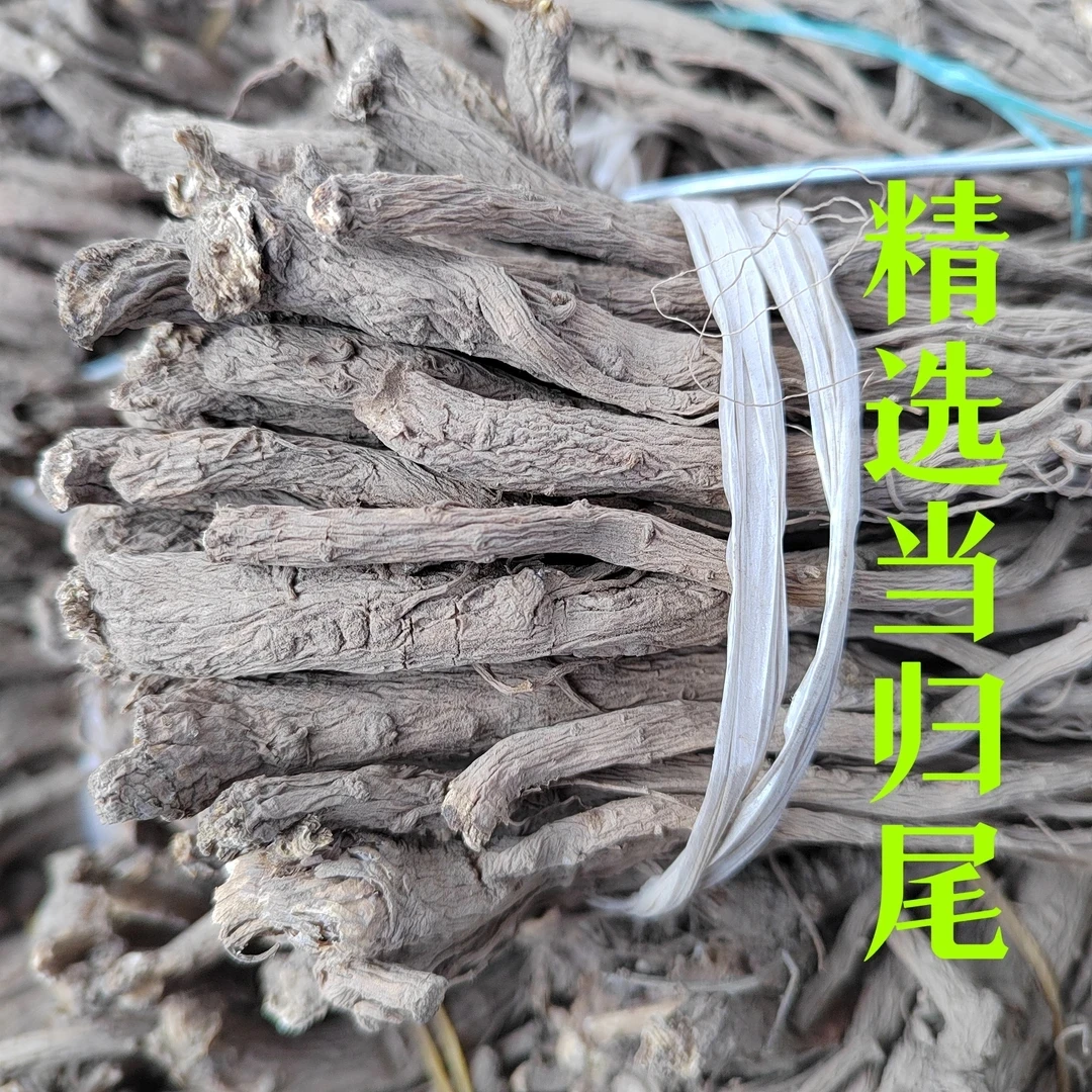 当归尾 甘肃岷县当归尾自然晾晒纯干货无硫熏无添加当年新货