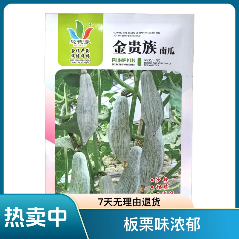 贵族南瓜口感好 粉糯香甜 板栗味 强雌产量高杂交种丑瓜