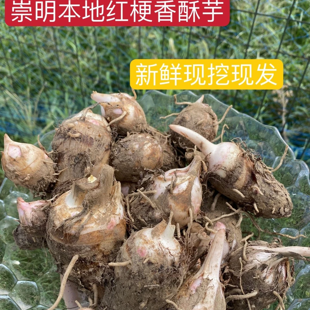 崇明岛生态岛农家香酥芋艿5斤【江浙沪皖包邮】
