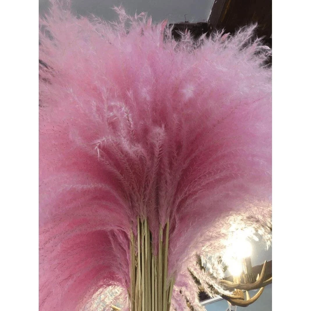 干花芦苇蒲苇花粉色彩色咖啡店摆件芦苇蓝色韩风时尚欧美北欧风格