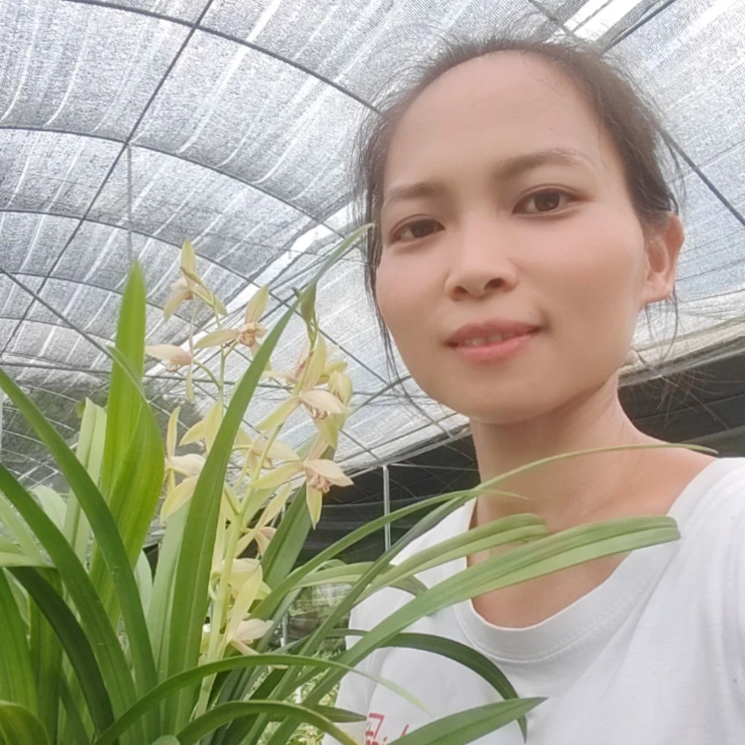 【一物一拍】翁源精品兰花建兰墨兰蕙兰寒兰春兰好养易活开花兰花