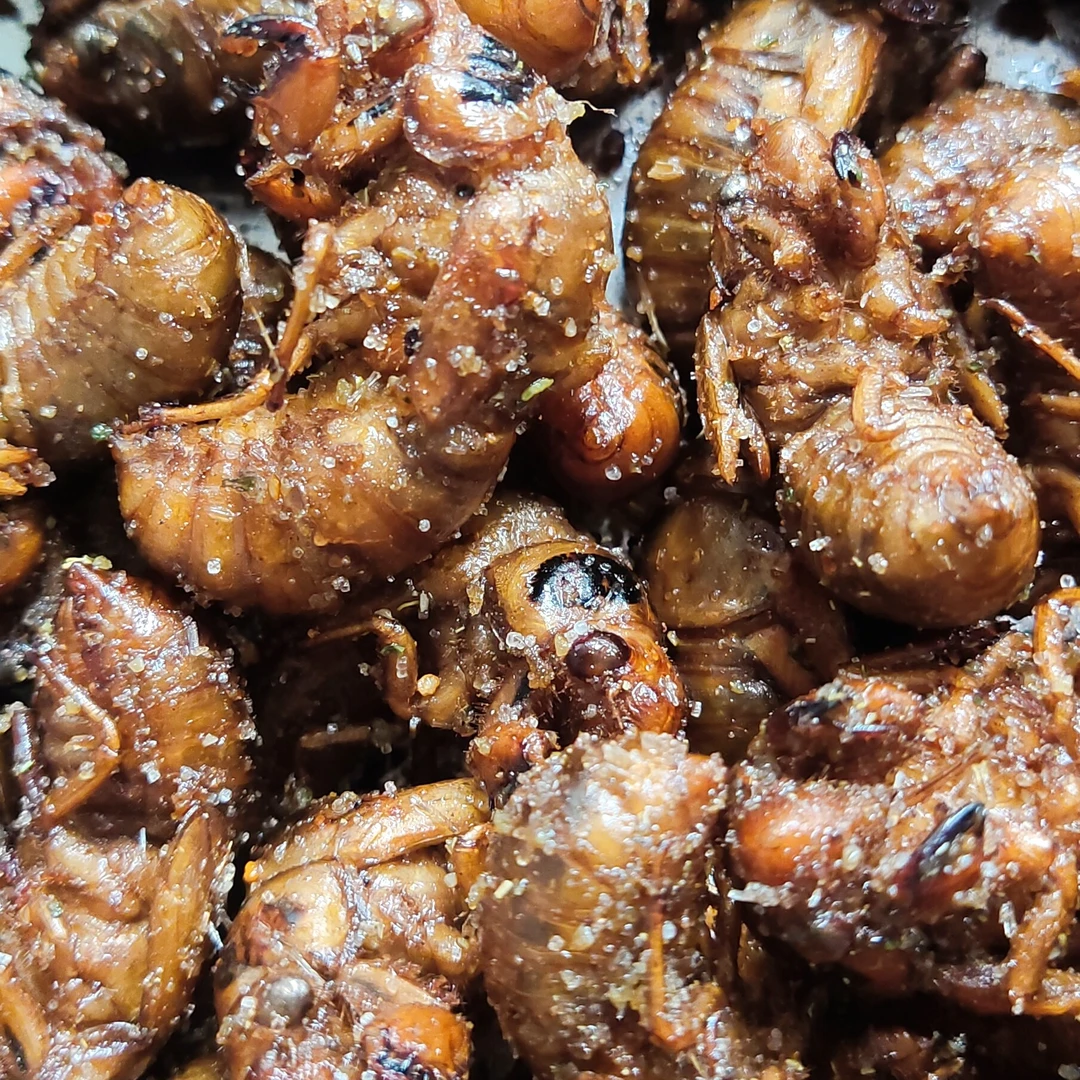 极牛侠油炸金蝉爬叉开袋即食嘎嘎好吃下酒菜