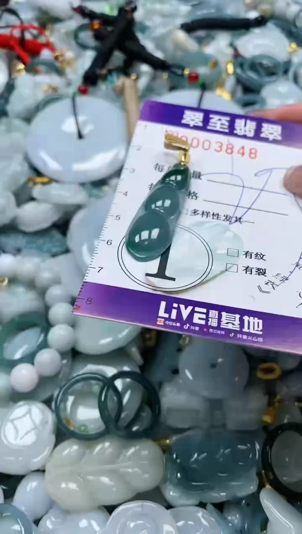 【闪购商品】翡翠颈饰未镶嵌闪购0003848