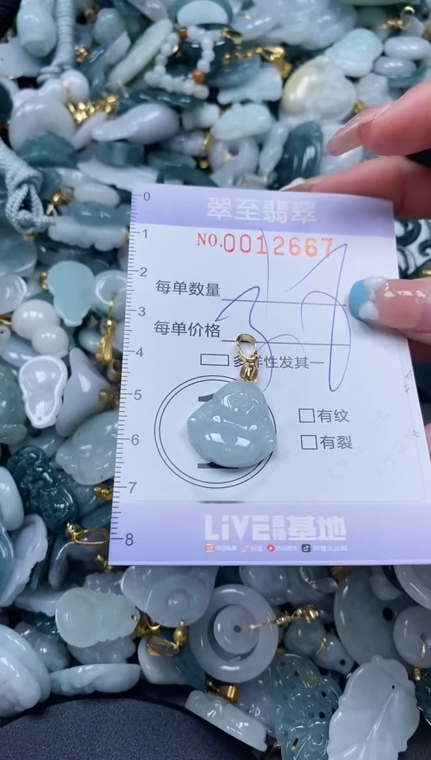 【闪购商品】翡翠颈饰未镶嵌闪购0012667