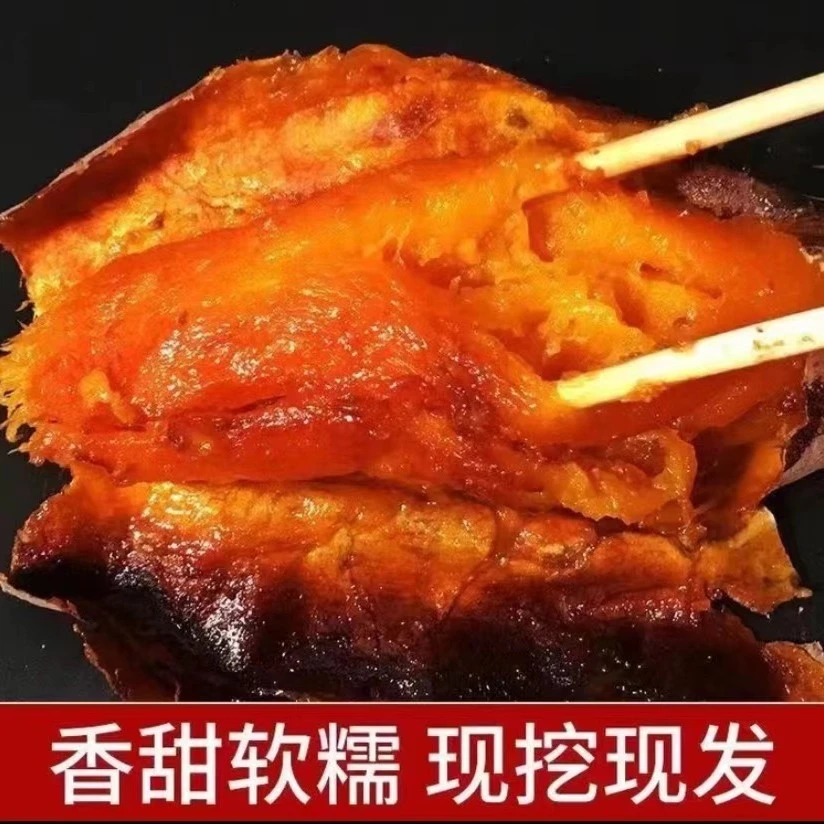 【北京本地蜜薯】西瓜红蜜薯 沙地现挖新鲜番薯 农家自种软糯香甜地瓜5斤西瓜红蜜薯北京市