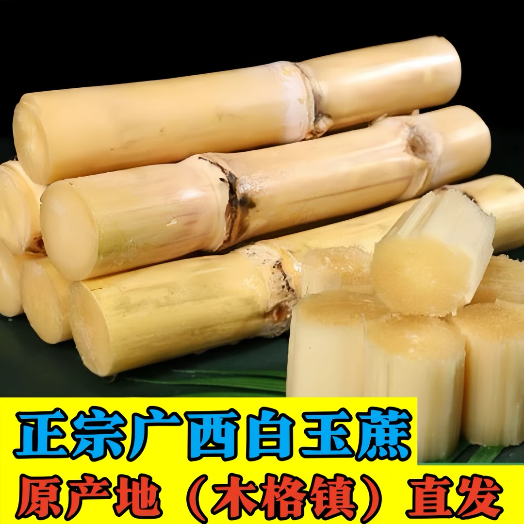 广西正宗木格白玉甘蔗新鲜薄皮水果当季木格白玉蔗清甜多汁玻璃脆