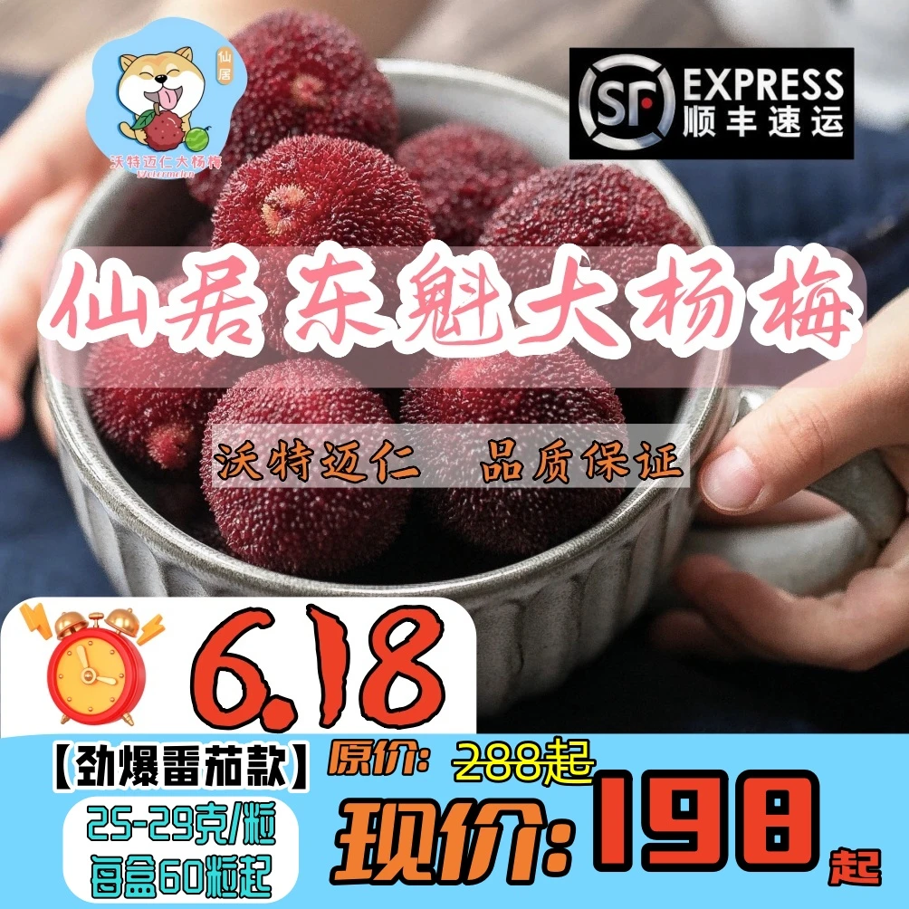 【沃特迈仁】番茄款*仙居东魁杨梅现摘天然酸甜新鲜