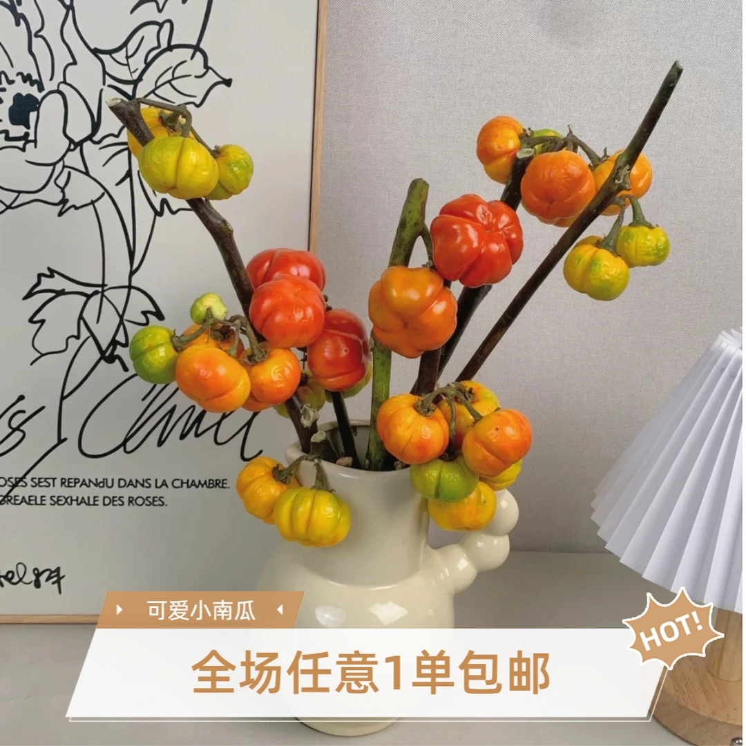 小南瓜花 万事不“南”  基地直发 家居百搭可爱小南瓜