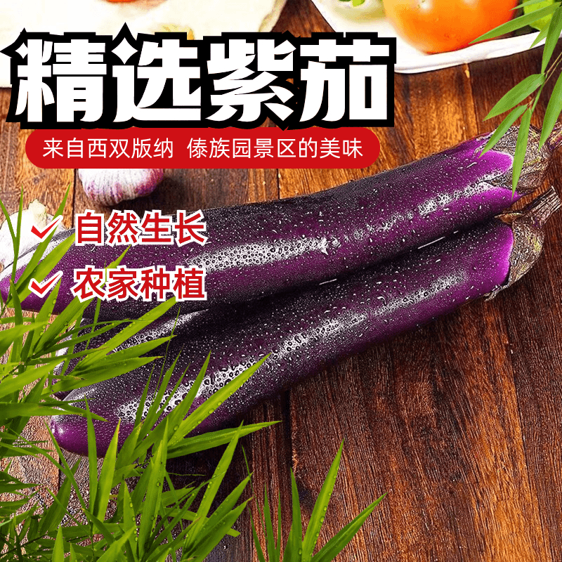 【新品上市】云南西双版纳紫茄圆长茄子傣族园美食新鲜农家自种蔬菜