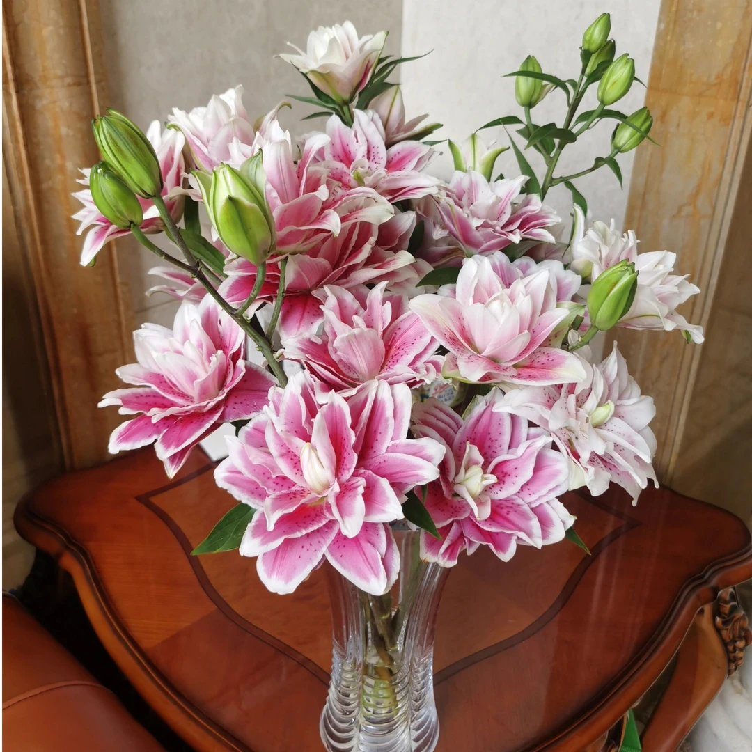 12朵火星之恋重瓣百合鲜花云南直发