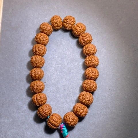 金刚菩提手串树祖