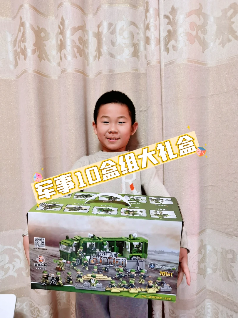 男孩益智军事拼装套盒10合1大组合