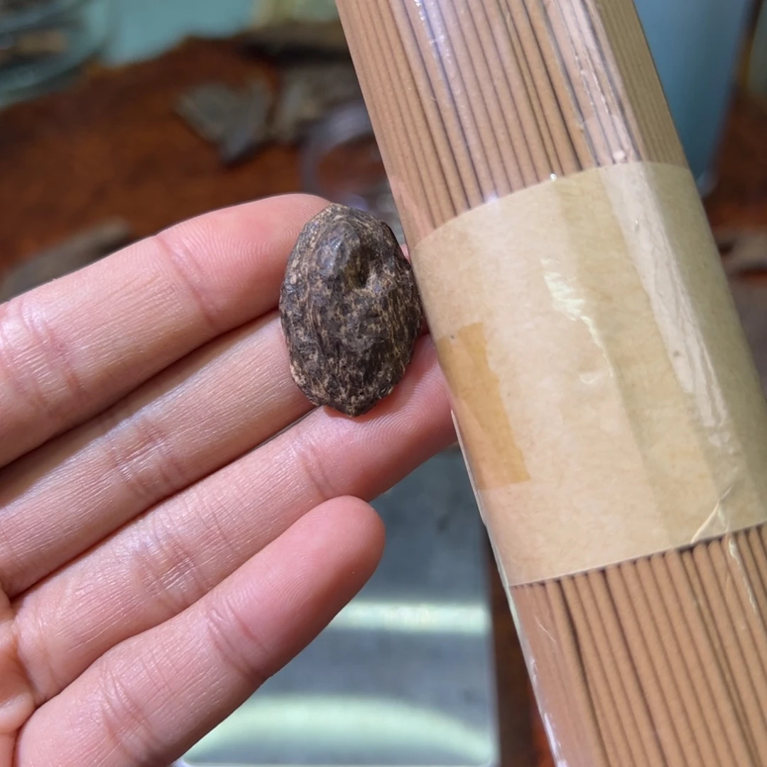 海南沉水包头1.2克重的一个