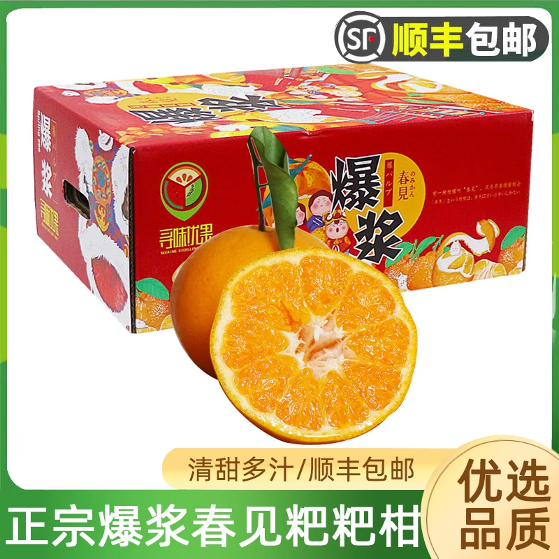 正宗爆浆春见粑粑柑4/8斤装大果 清甜多汁新鲜丑八怪蜜橘顺丰
