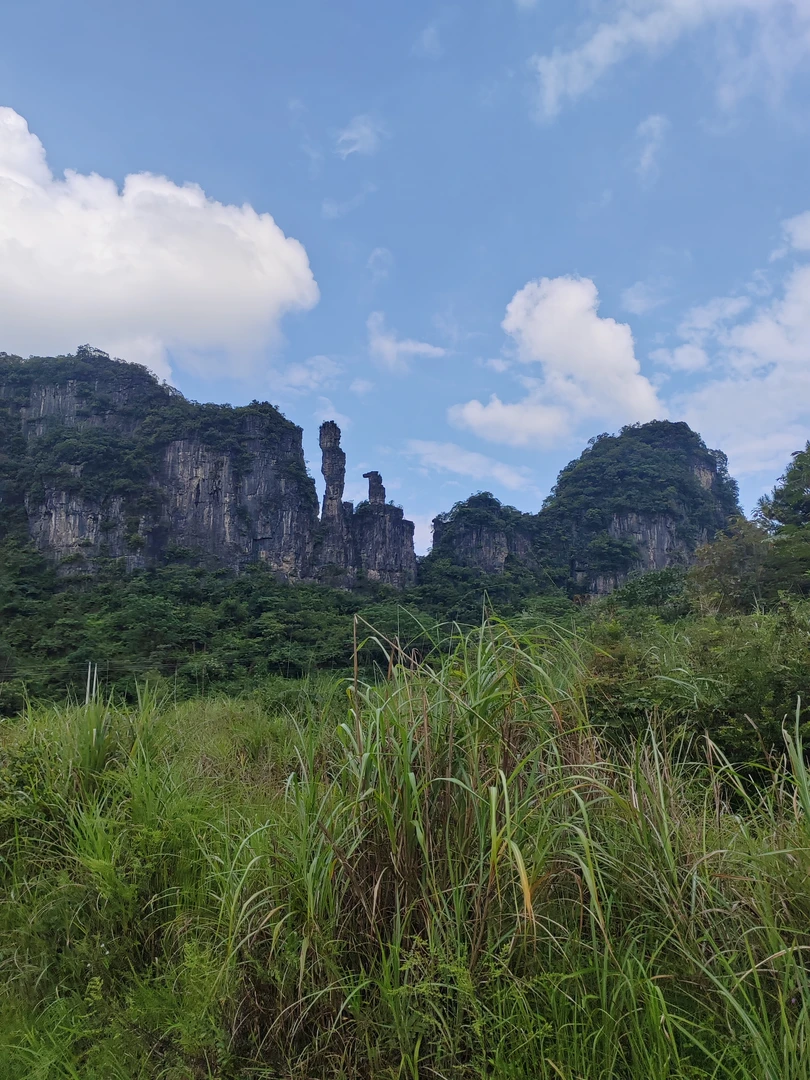 广西山水纹石龟纹石