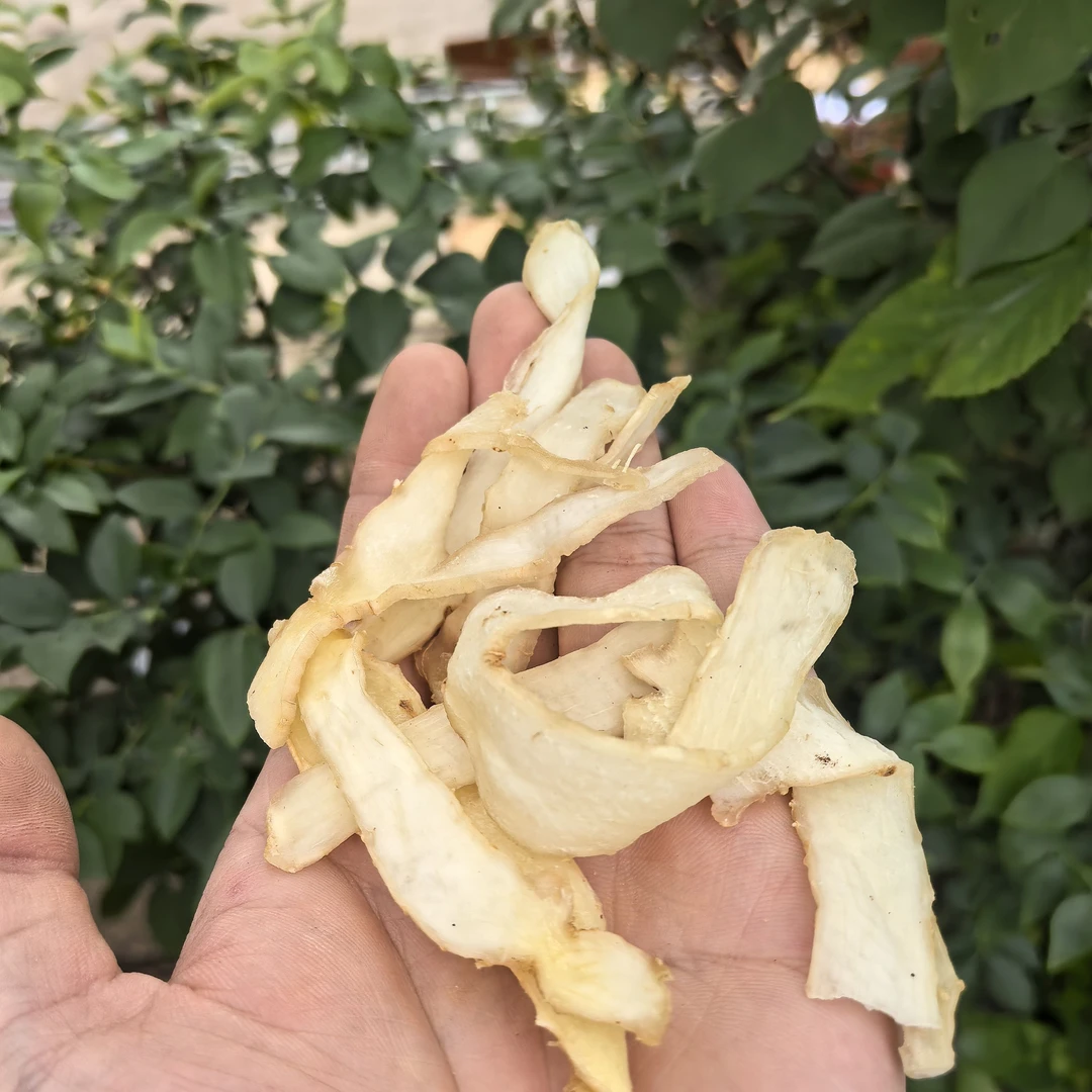 玉竹片、精选山货、珍藏下山货（可搭配枸杞食用）