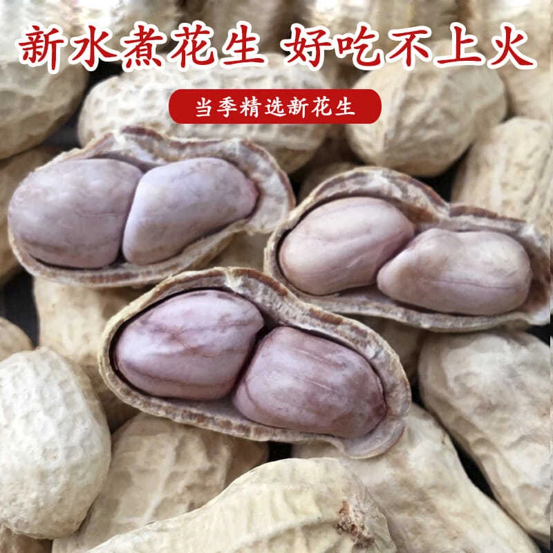 精选5斤水煮白晒咸干原味带壳熟花生盐干花生正宗好吃1斤