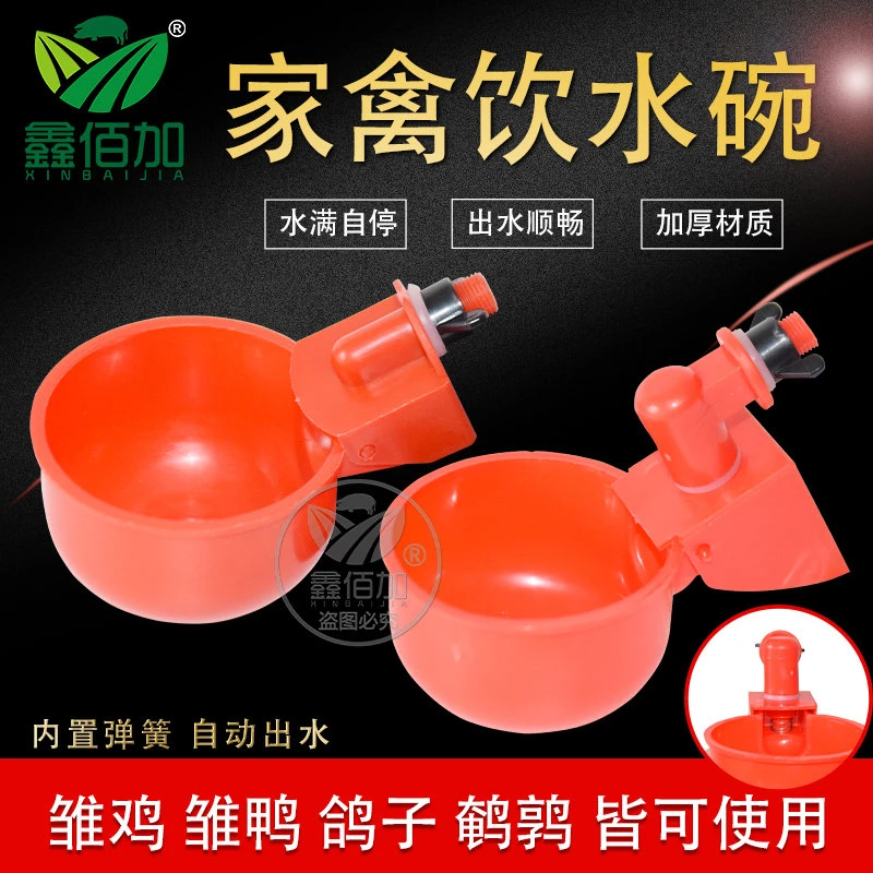 鑫佰加鸡用饮水碗 小鸡鹌鹑鸽子喝水碗 加厚家禽自动饮水器水碗