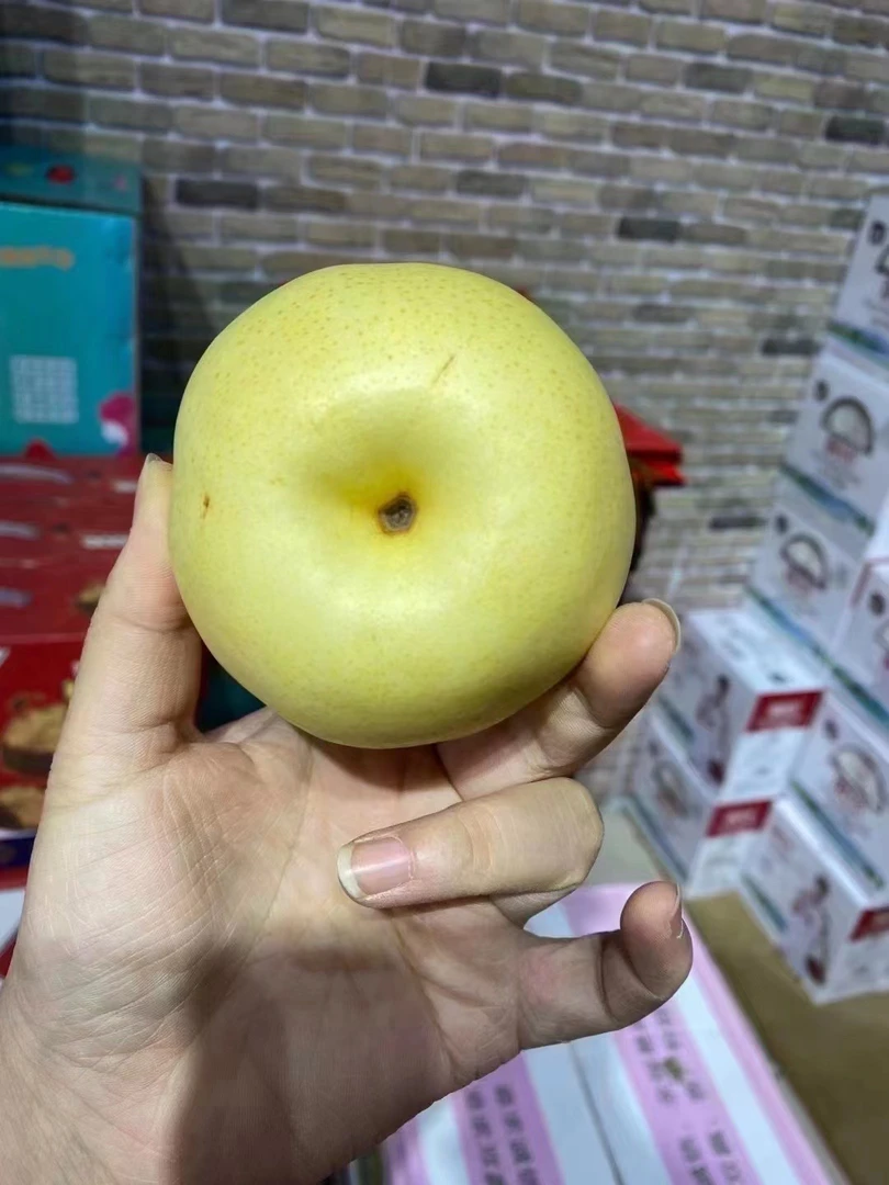 鸭梨5斤装新鲜到货