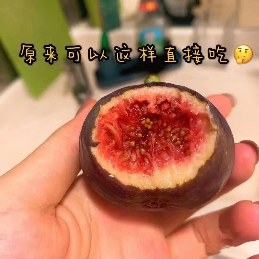 超大本地无花果1.5斤左右