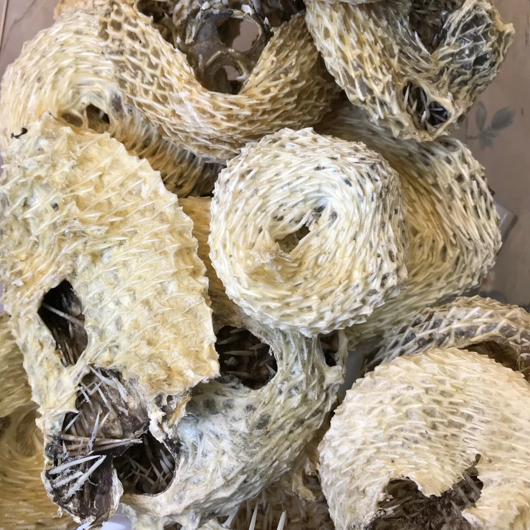 精选 广东汤料刺.龟.皮 250g