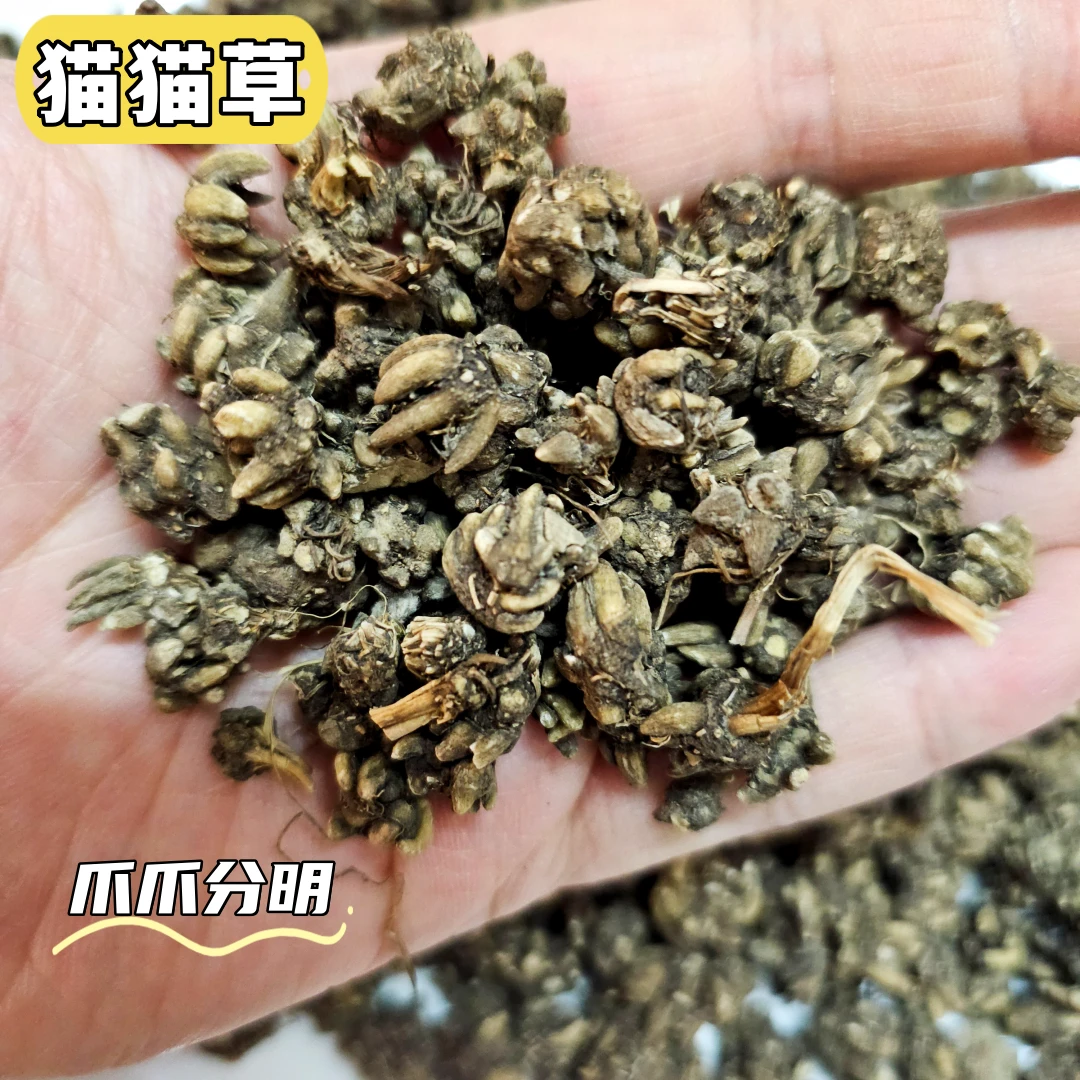 「四宝精选」猫爪草 广东汤料煲汤炖汤
