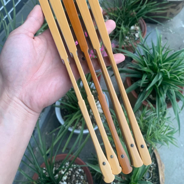 庄煜安浙派制扇名家纯手工精制代表作蜻蜓头文玩收藏中国风折扇