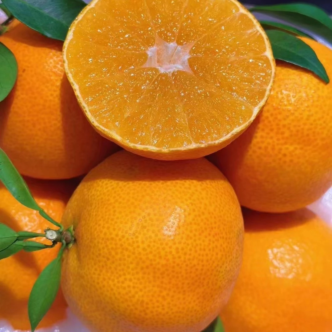 【寸金地红美人】毛重带箱7斤左右，8甜2酸