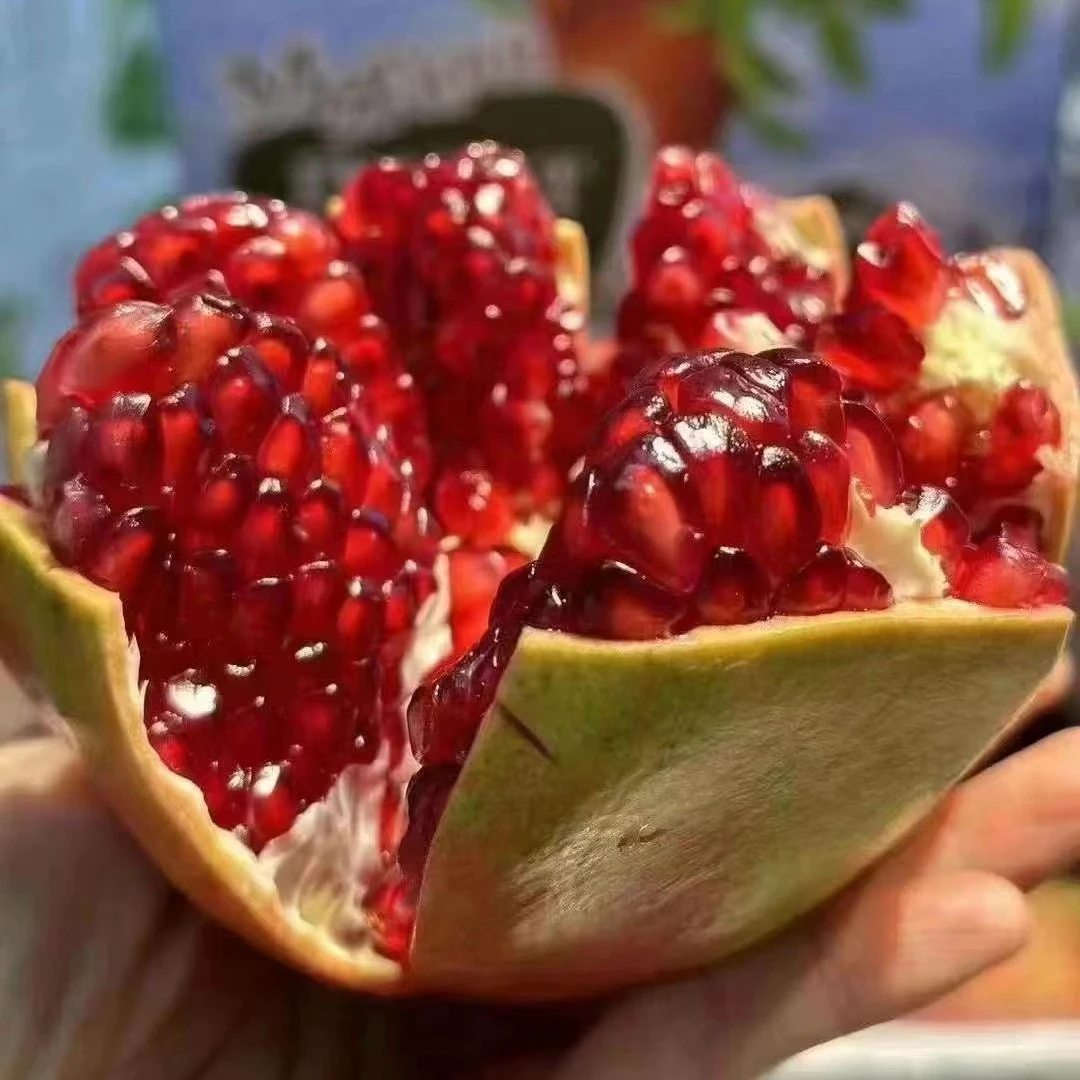 【精品软籽石榴】新鲜水果香甜多汁无籽