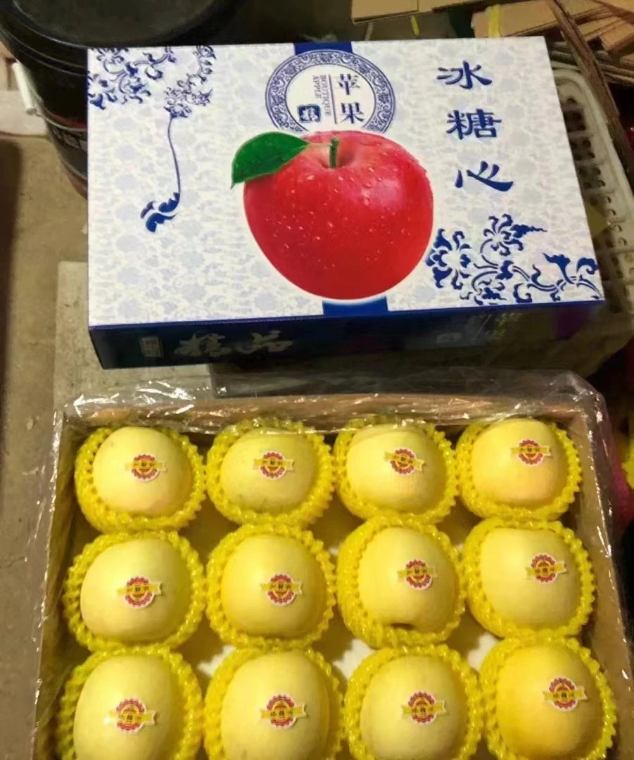 山东烟台黄金富士苹果礼盒装12枚和15枚,带箱10斤包邮