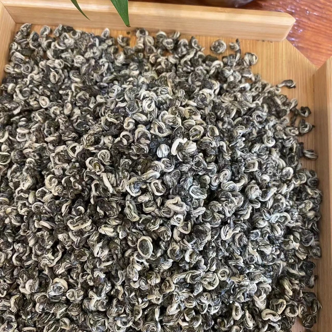 洑梁美人碧螺春云南大叶种