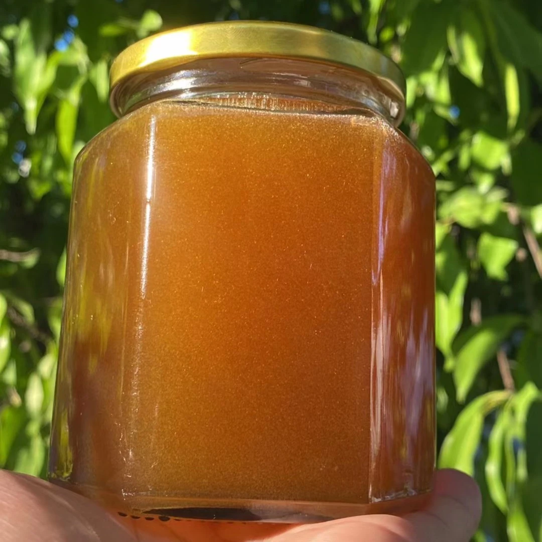 【云南高山野生悬崖黄蜜】野生悬崖蜜 山花蜜500g